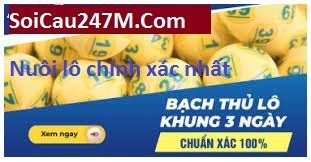 Soi cầu bạch thủ 247 Cách chơi và những lưu ý quan trọng